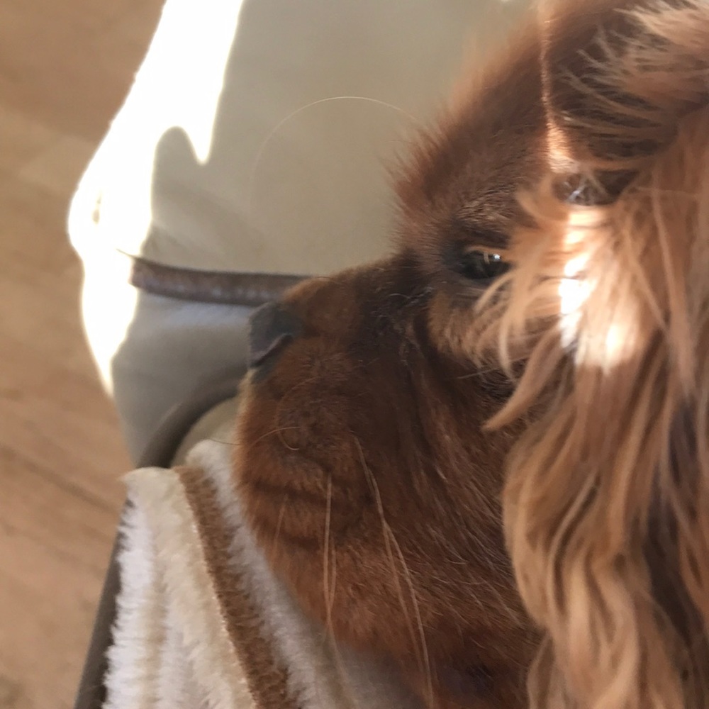 Meet your Posher, Lynn